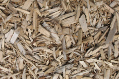 biomass boilers Gooderstone